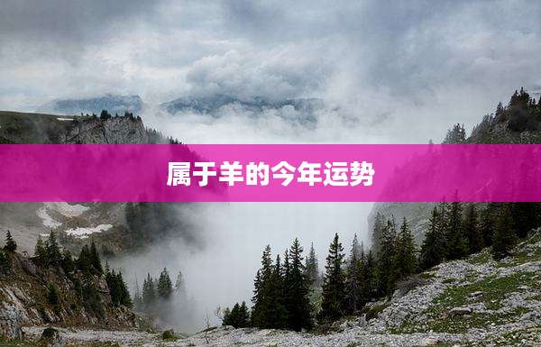 属于羊的今年运势