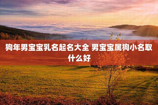 狗年男宝宝乳名起名大全 男宝宝属狗小名取什么好