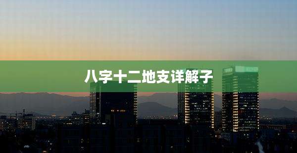 八字十二地支详解子
