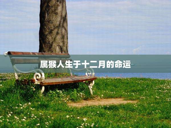 属猴人生于十二月的命运