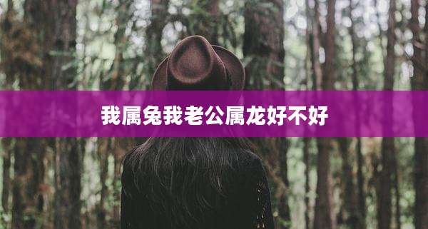 我属兔我老公属龙好不好