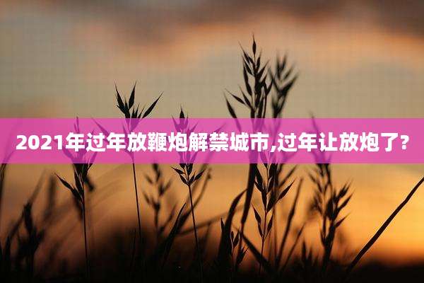 2021年过年放鞭炮解禁城市,过年让放炮了?