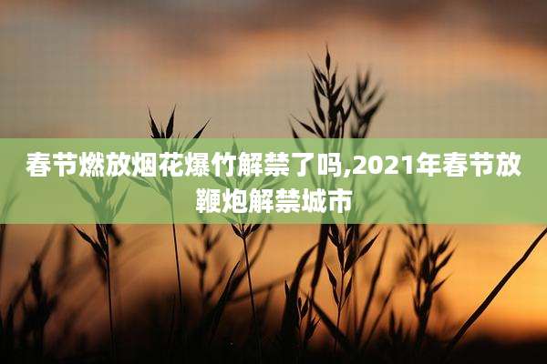 春节燃放烟花爆竹解禁了吗,2021年春节放鞭炮解禁城市