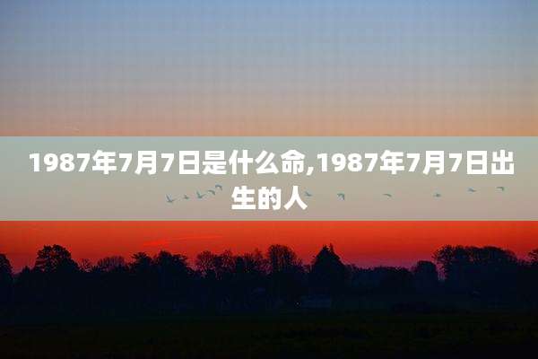 1987年7月7日是什么命,1987年7月7日出生的人