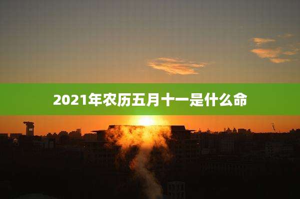2021年农历五月十一是什么命