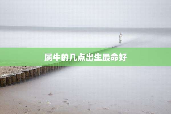 属牛的几点出生最命好
