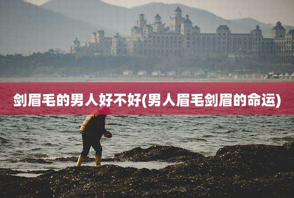 剑眉毛的男人好不好(男人眉毛剑眉的命运)