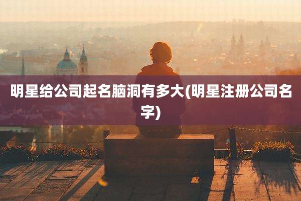 明星给公司起名脑洞有多大(明星注册公司名字)