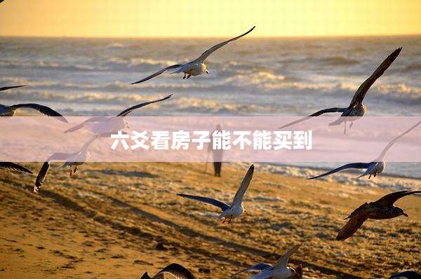 六爻看房子能不能买到