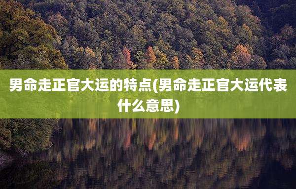 男命走正官大运的特点(男命走正官大运代表什么意思)