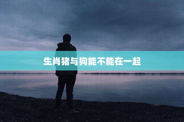 生肖猪与狗能不能在一起