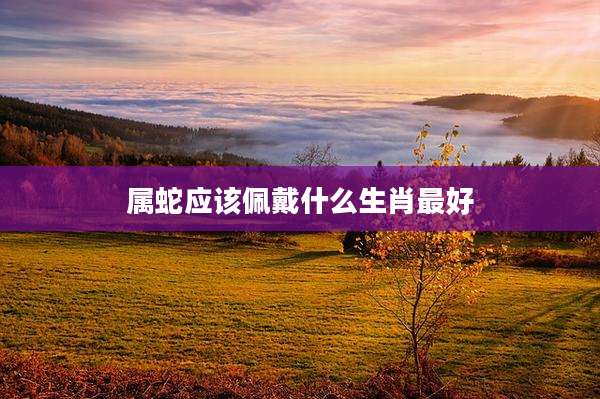 属蛇应该佩戴什么生肖最好