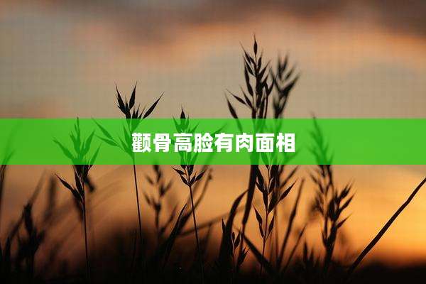 颧骨高脸有肉面相