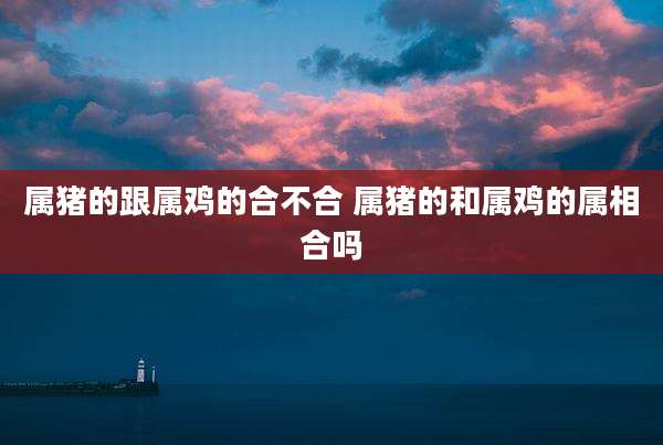 属猪的跟属鸡的合不合 属猪的和属鸡的属相合吗