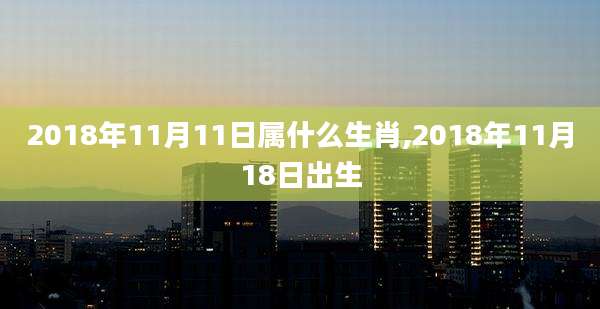 2018年11月11日属什么生肖,2018年11月18日出生