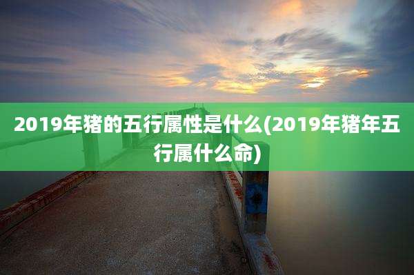 2019年猪的五行属性是什么(2019年猪年五行属什么命)