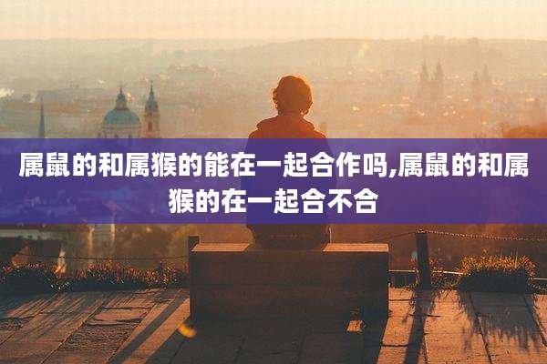 属鼠的和属猴的能在一起合作吗,属鼠的和属猴的在一起合不合