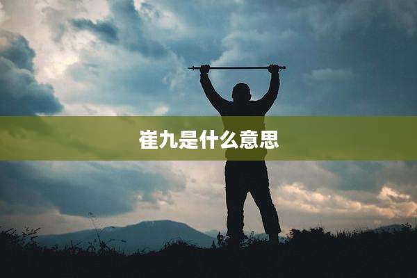 崔九是什么意思