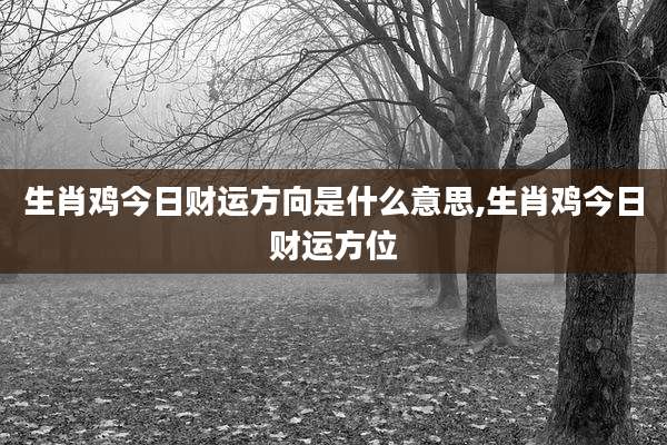生肖鸡今日财运方向是什么意思,生肖鸡今日财运方位