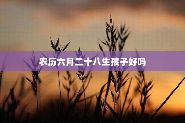 农历六月二十八生孩子好吗