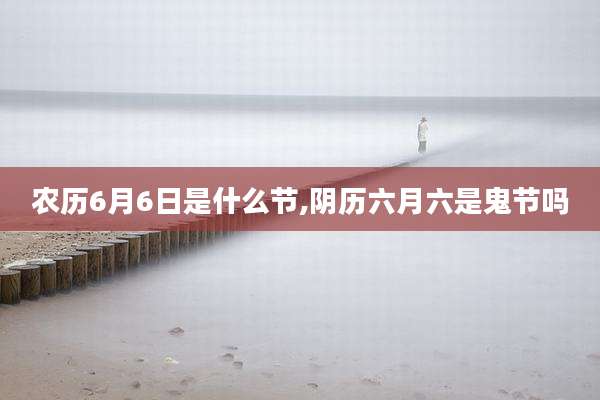农历6月6日是什么节,阴历六月六是鬼节吗