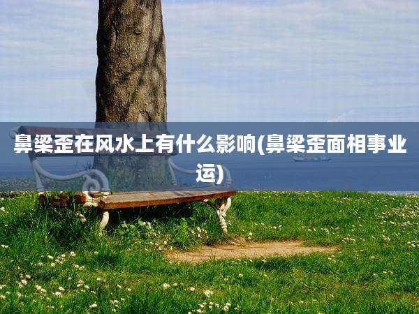 鼻梁歪在风水上有什么影响(鼻梁歪面相事业运)