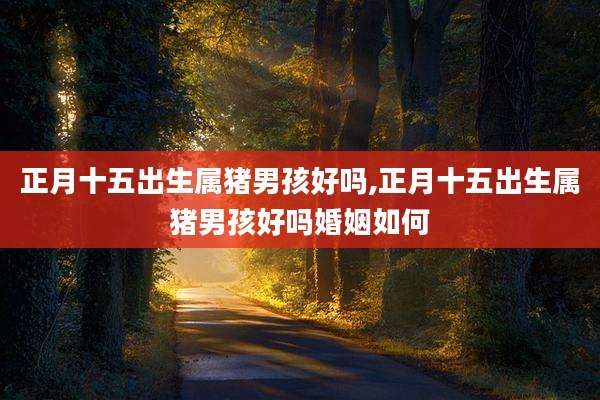 正月十五出生属猪男孩好吗,正月十五出生属猪男孩好吗婚姻如何