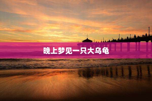 晚上梦见一只大乌龟