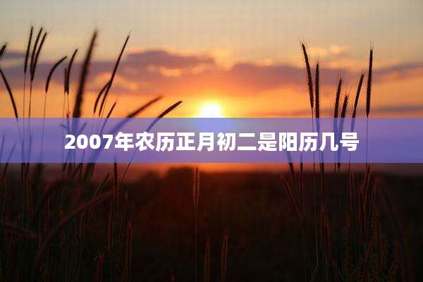 2007年农历正月初二是阳历几号