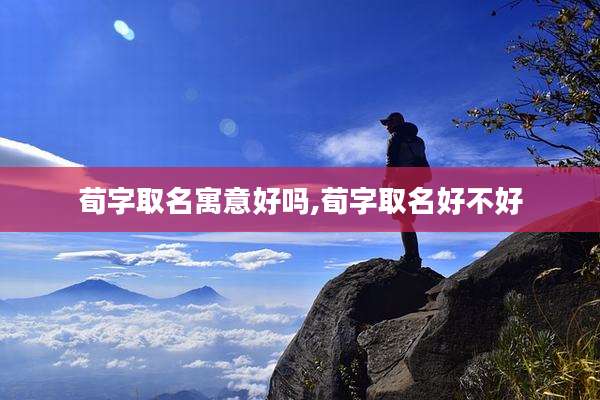 荀字取名寓意好吗,荀字取名好不好