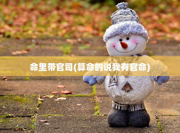 命里带官司(算命的说我有官命)
