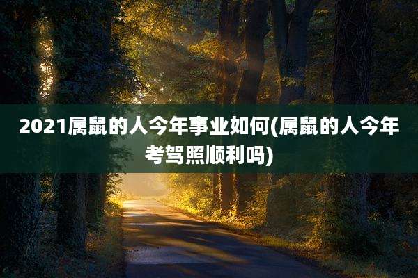 2021属鼠的人今年事业如何(属鼠的人今年考驾照顺利吗)