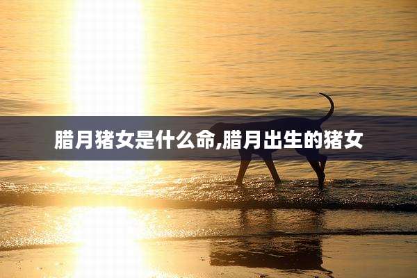 腊月猪女是什么命,腊月出生的猪女