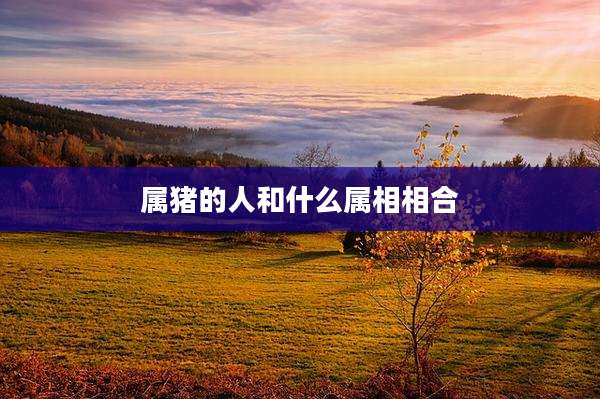 属猪的人和什么属相相合