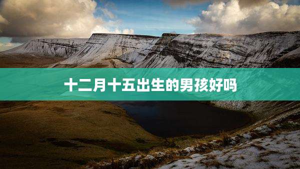 十二月十五出生的男孩好吗
