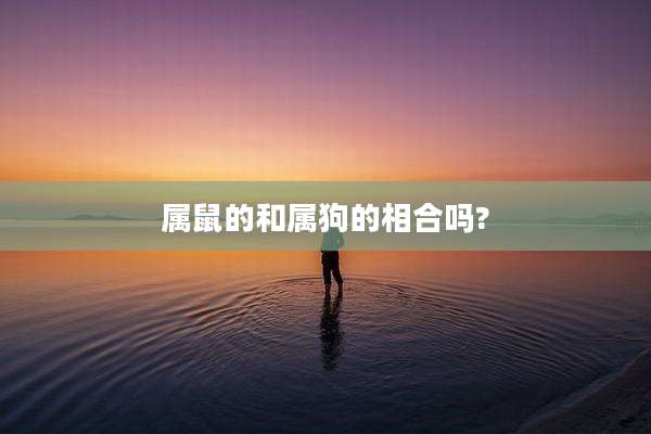 属鼠的和属狗的相合吗?