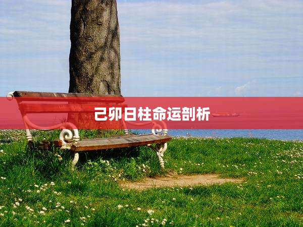 己卯日柱命运剖析