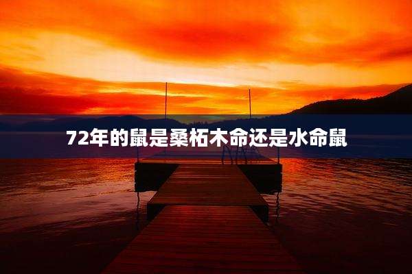 72年的鼠是桑柘木命还是水命鼠