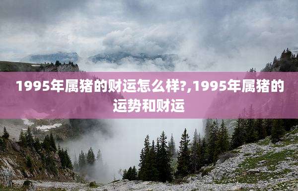 1995年属猪的财运怎么样?,1995年属猪的运势和财运