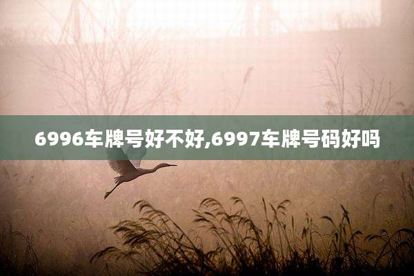 6996车牌号好不好,6997车牌号码好吗