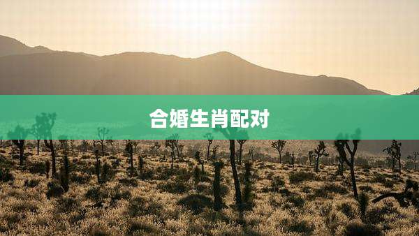 合婚生肖配对