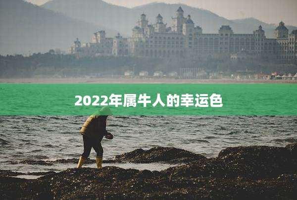 2022年属牛人的幸运色