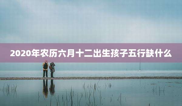 2020年农历六月十二出生孩子五行缺什么