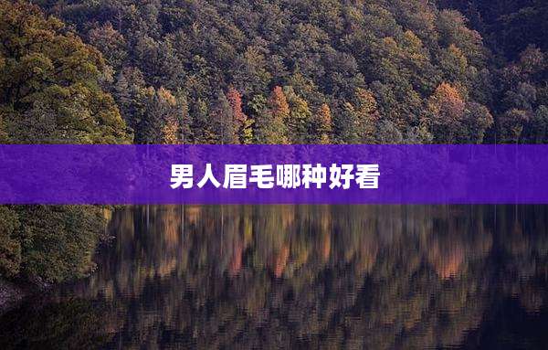 男人眉毛哪种好看