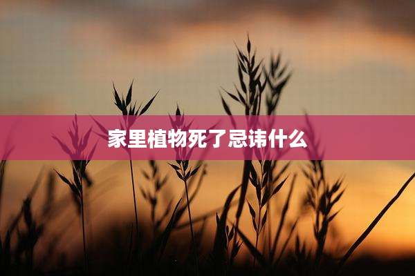 家里植物死了忌讳什么