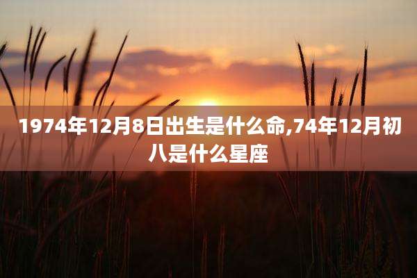 1974年12月8日出生是什么命,74年12月初八是什么星座