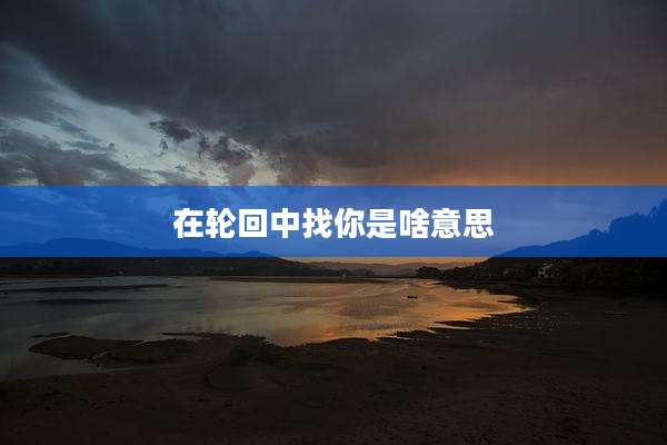 在轮回中找你是啥意思