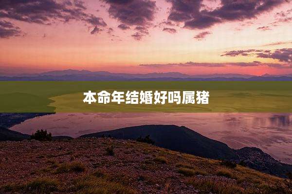 本命年结婚好吗属猪