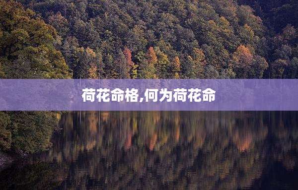 荷花命格,何为荷花命