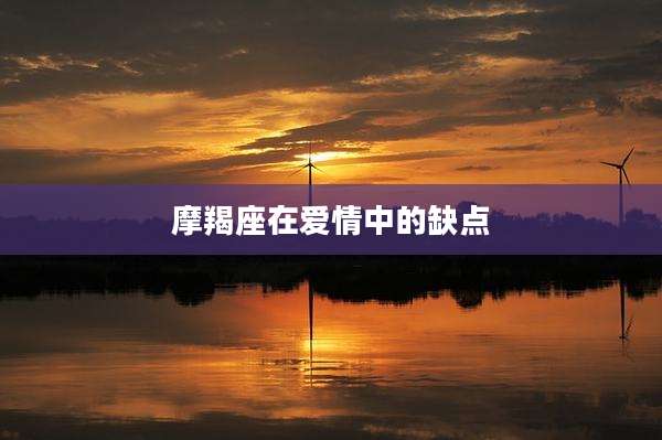 摩羯座在爱情中的缺点